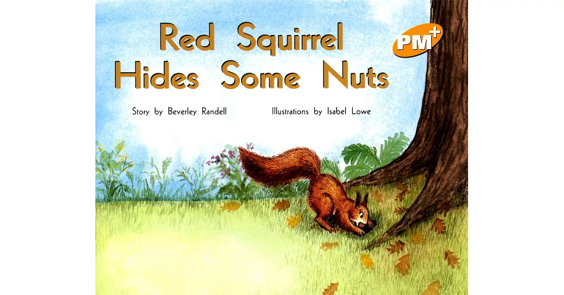 PM Plus Yellow (7) Red Squirrel Hides Some Nuts | 拾書所