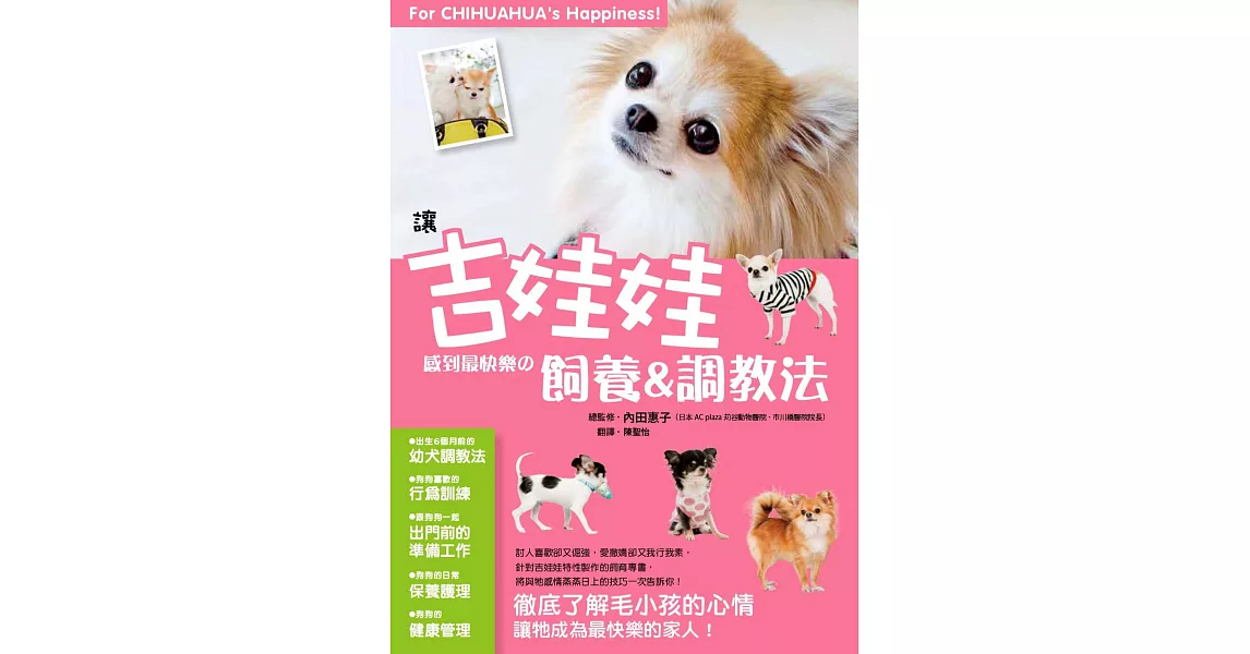 讓吉娃娃感到最快樂的飼養&調教法