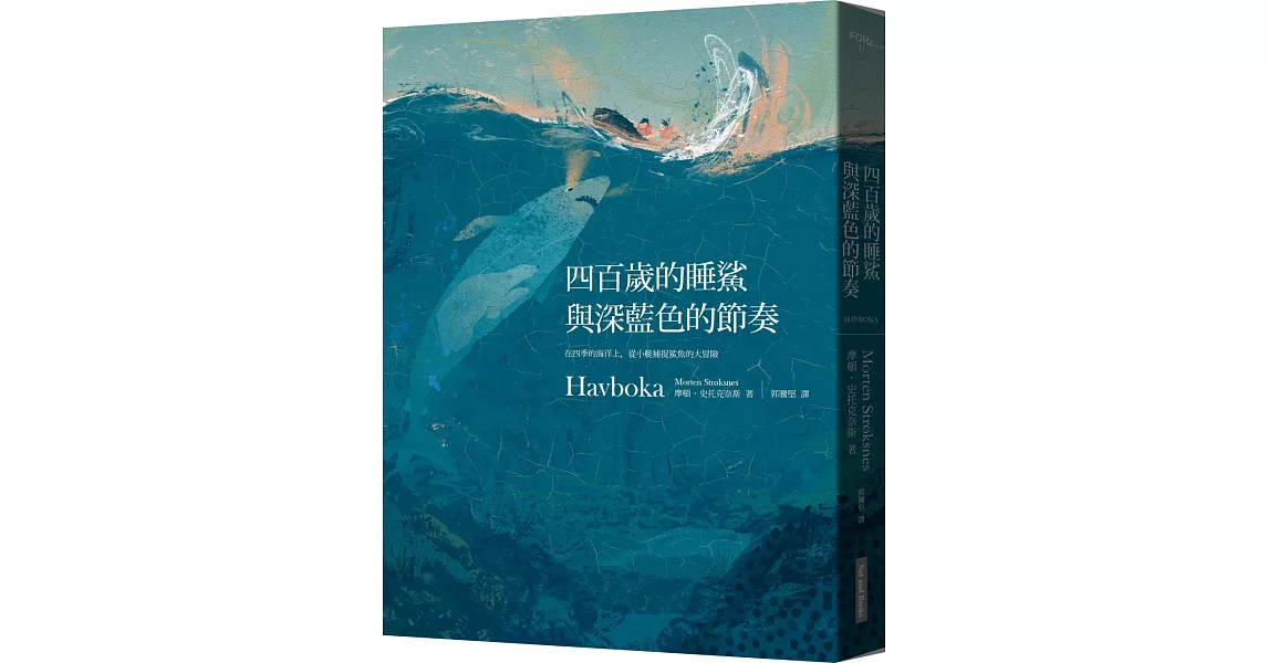 四百歲的睡鯊與深藍色的節奏：在四季的海洋上，從小艇捕捉鯊魚的大冒險 | 拾書所