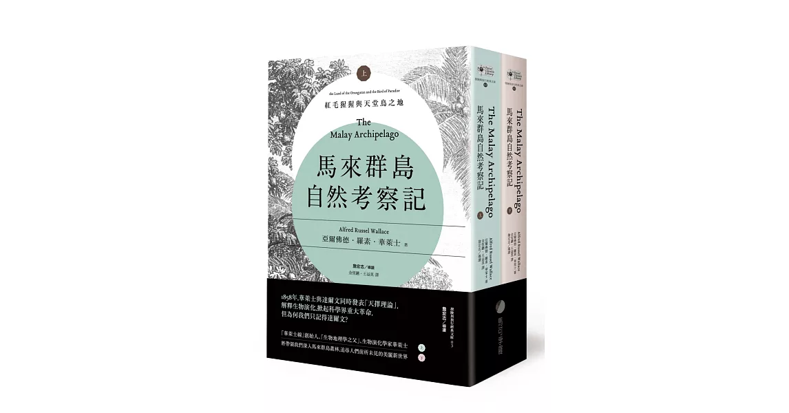 馬來群島自然考察記：紅毛猩猩與天堂鳥之地（上、下冊不分售） | 拾書所