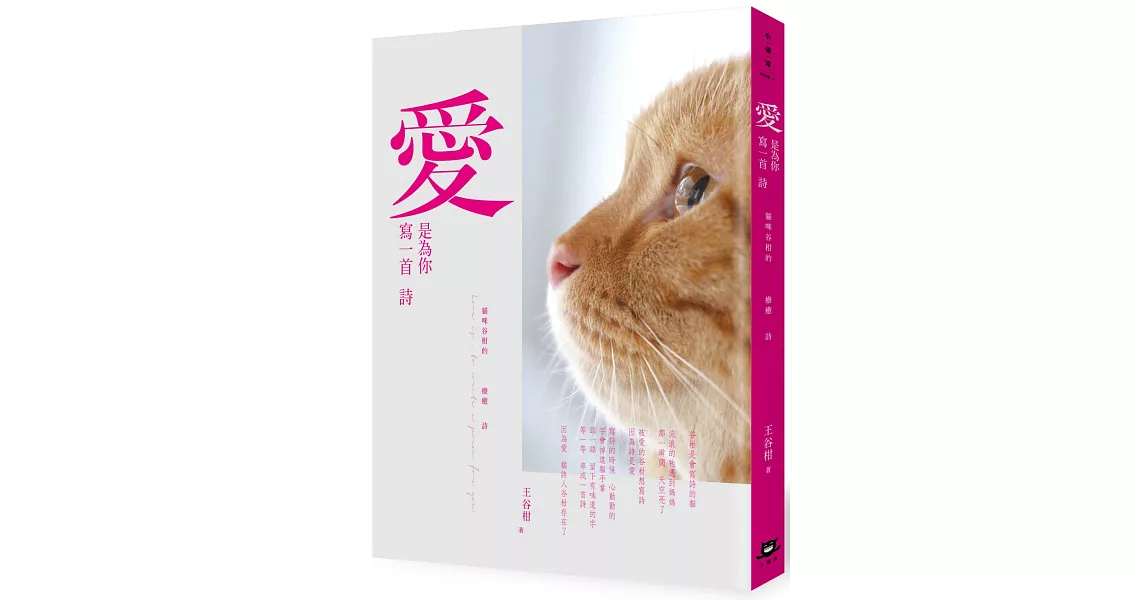 愛，是為你寫一首詩：貓咪谷柑的療癒詩 | 拾書所