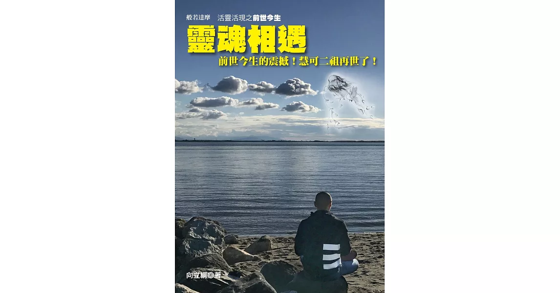 靈魂相遇：活靈活現之前世今生 | 拾書所