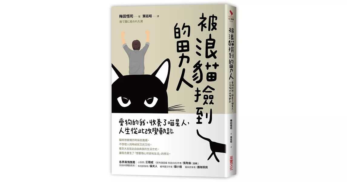 情報 市原隼人主演sp 被浪貓撿到的男人 Mo Ptt 鄉公所