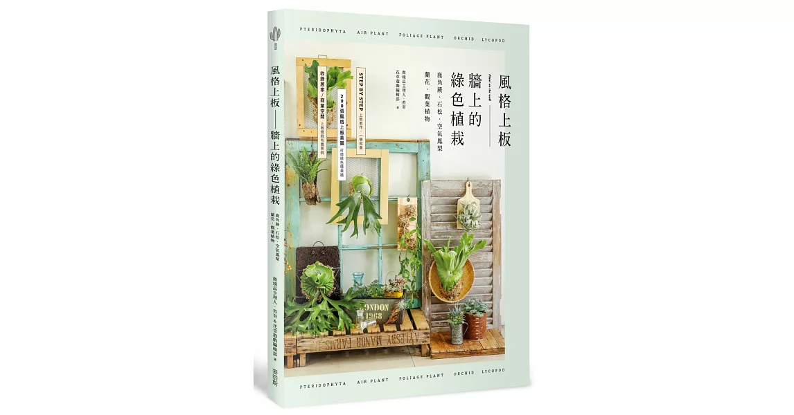 風格上板—牆上的綠色植栽：鹿角蕨‧石松‧空氣鳳梨‧蘭花‧觀葉植物 | 拾書所