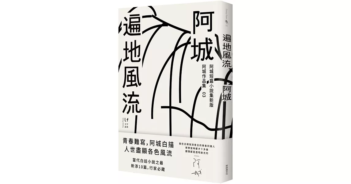 遍地風流(新版加收錄10篇阿城經典短篇) | 拾書所