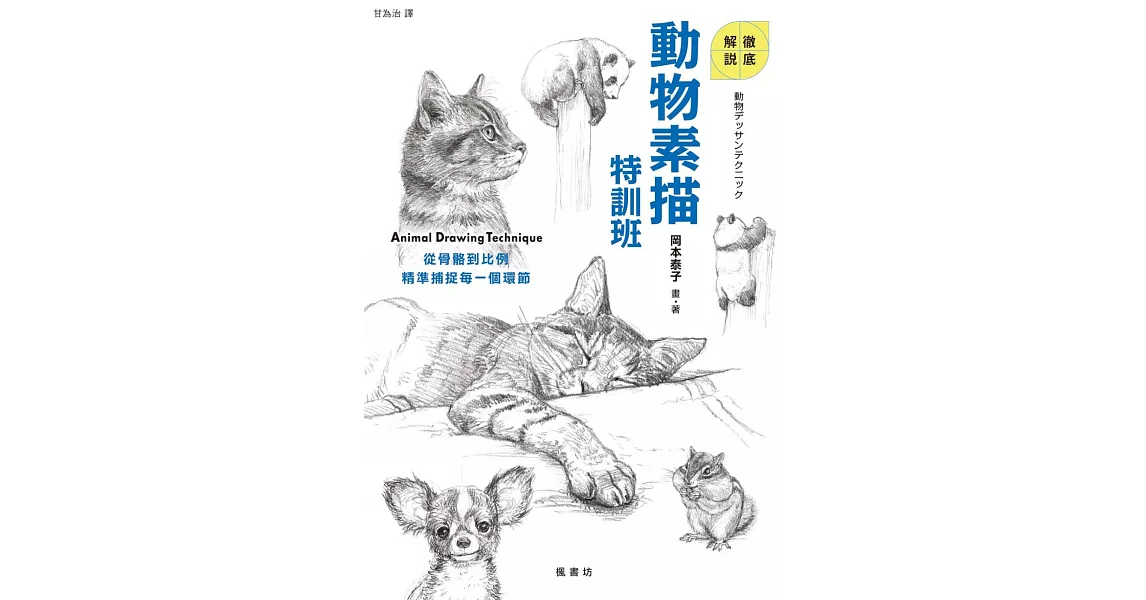 動物素描特訓班 | 拾書所