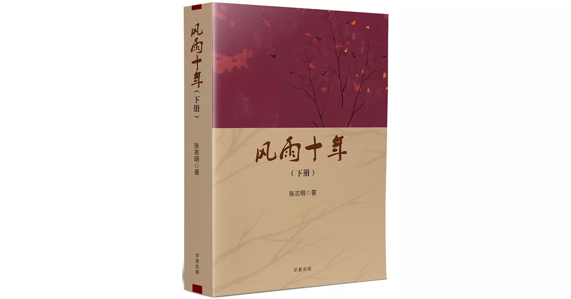 風雨十年(下)(簡) | 拾書所