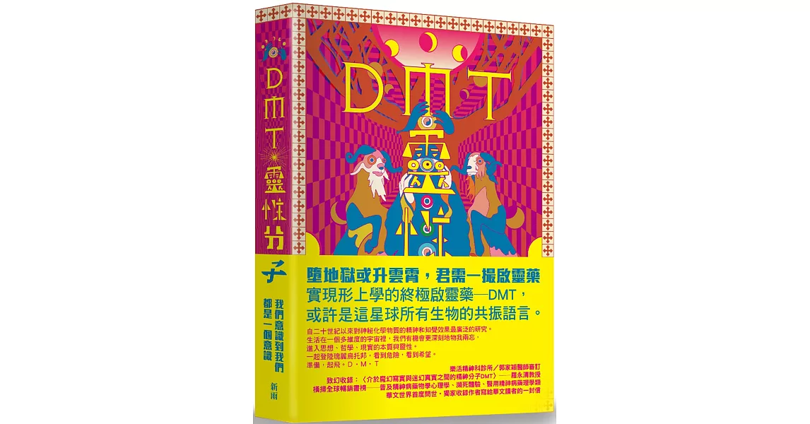 DMT：靈性分子 | 拾書所