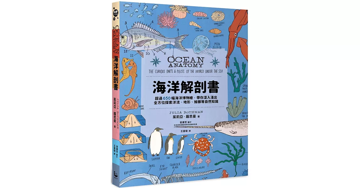 海洋解剖書：超過650幅海洋博物繪，帶你深入淺出，全方位探索洋流、地形、鯨豚等自然知識 | 拾書所