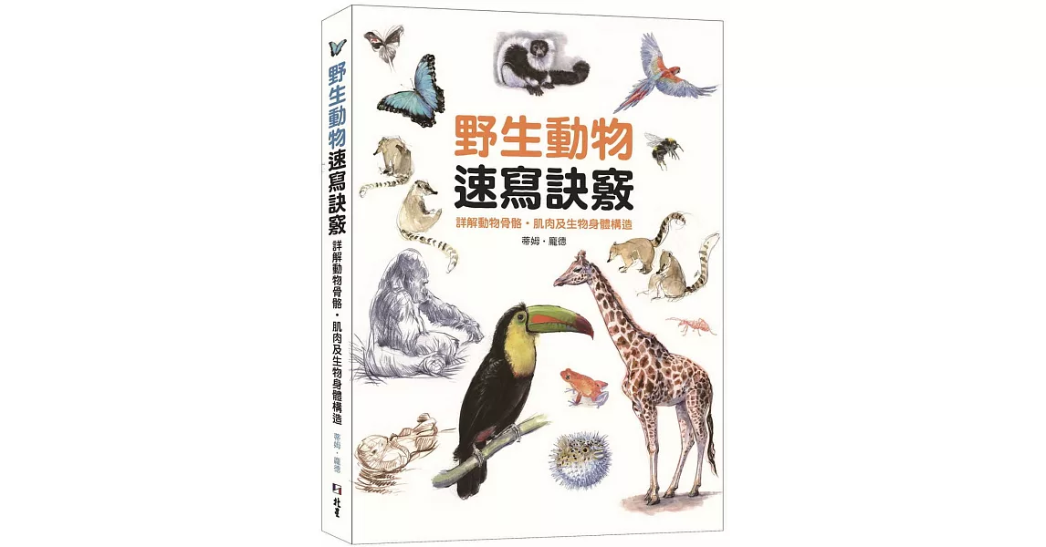 野生動物速寫訣竅：詳解動物骨骼、肌肉及生物身體構造 | 拾書所