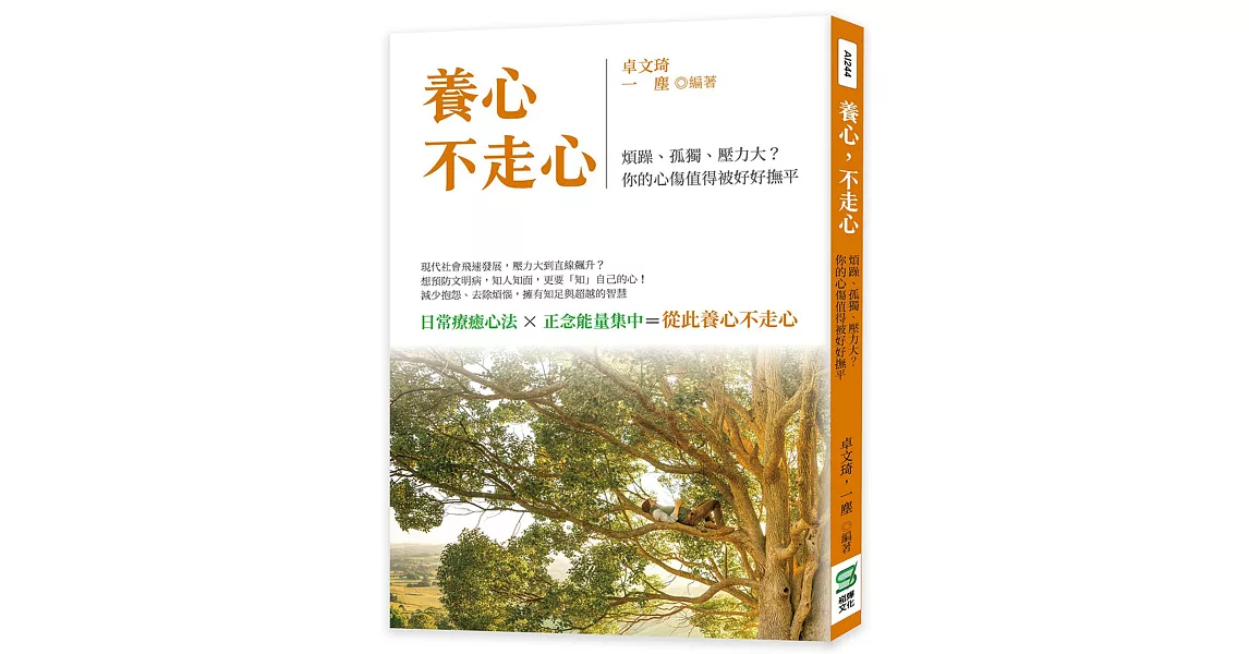 養心，不走心：煩躁、孤獨、壓力大？你的心傷值得被好好撫平 | 拾書所