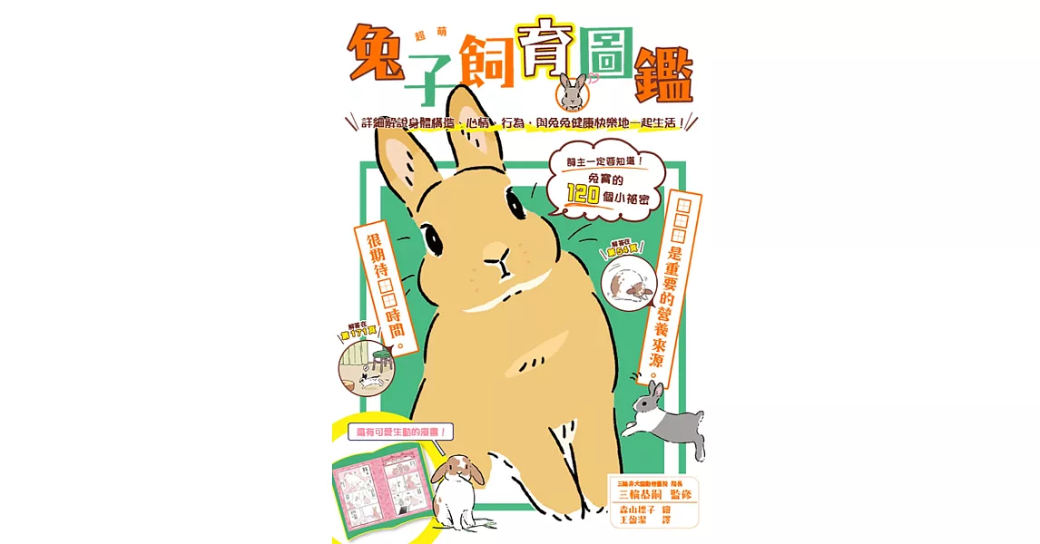 超萌兔子飼育圖鑑：詳細解說身體構造、心情、行為，與兔兔健康快樂地一起生活！ | 拾書所