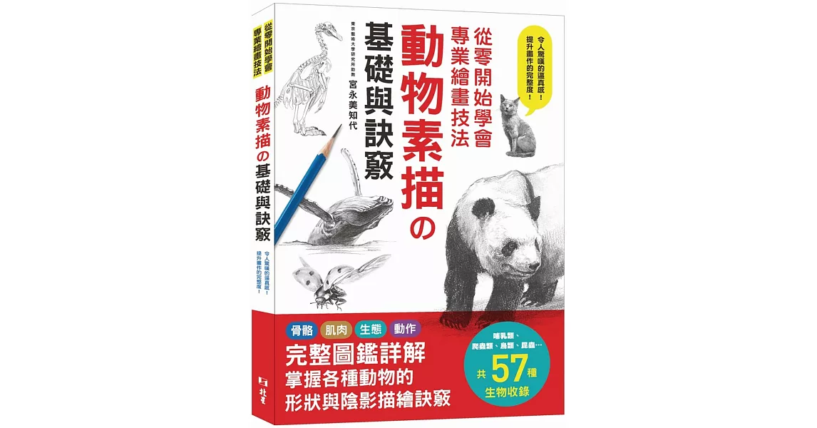 從零開始學會專業繪畫技法：動物素描の基礎與訣竅 | 拾書所