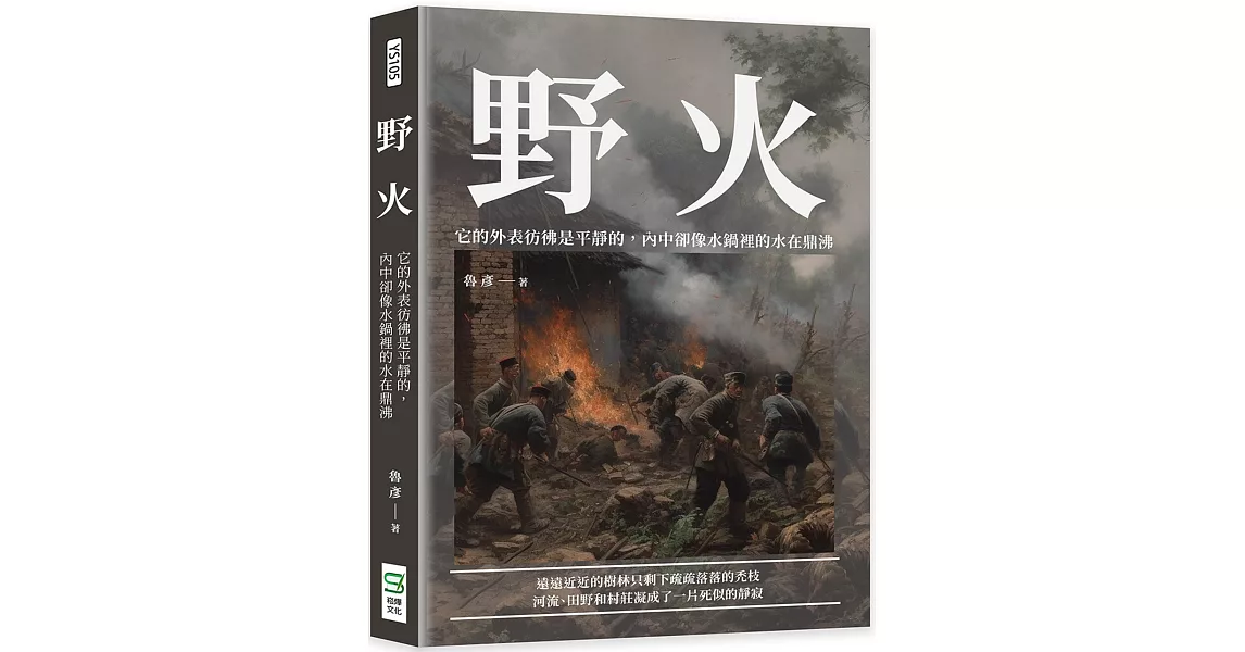 野火：它的外表彷彿是平靜的，內中卻像水鍋裡的水在鼎沸 | 拾書所