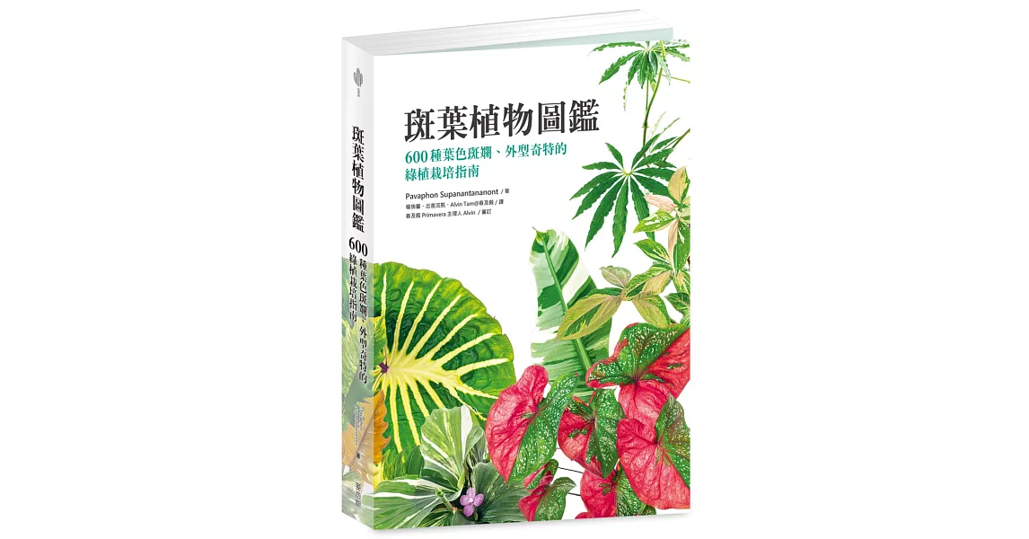 斑葉植物圖鑑：600種葉色斑斕、外型奇特的綠植栽培指南 | 拾書所