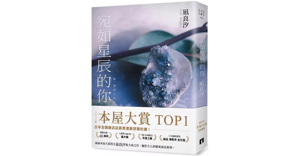 宛如星辰的你【2023年本屋大賞TOP1】（璀璨如星版書封） | 拾書所