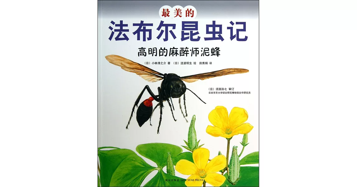 最美的法布爾昆蟲記：高明的麻醉師泥蜂 | 拾書所