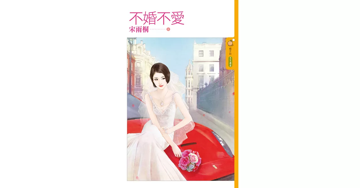 不婚不愛 (電子書) | 拾書所