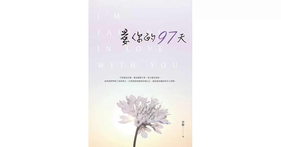 愛你的97天 (電子書) | 拾書所