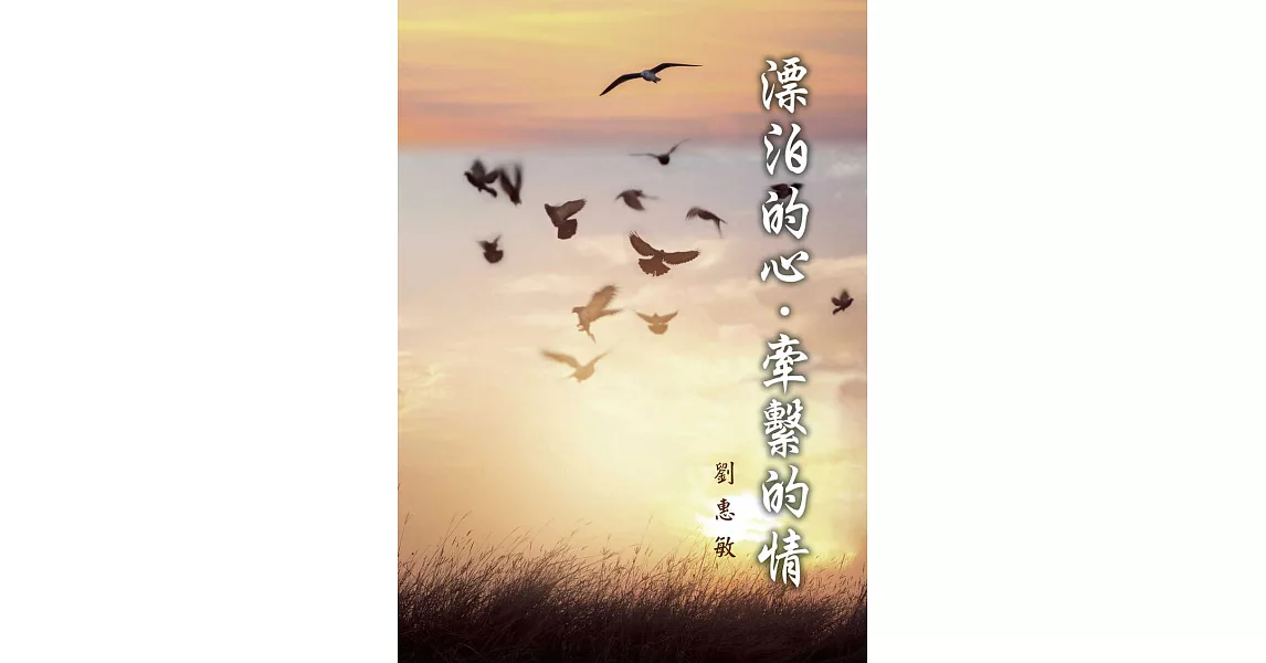 漂泊的心，牽繫的情 (電子書) | 拾書所