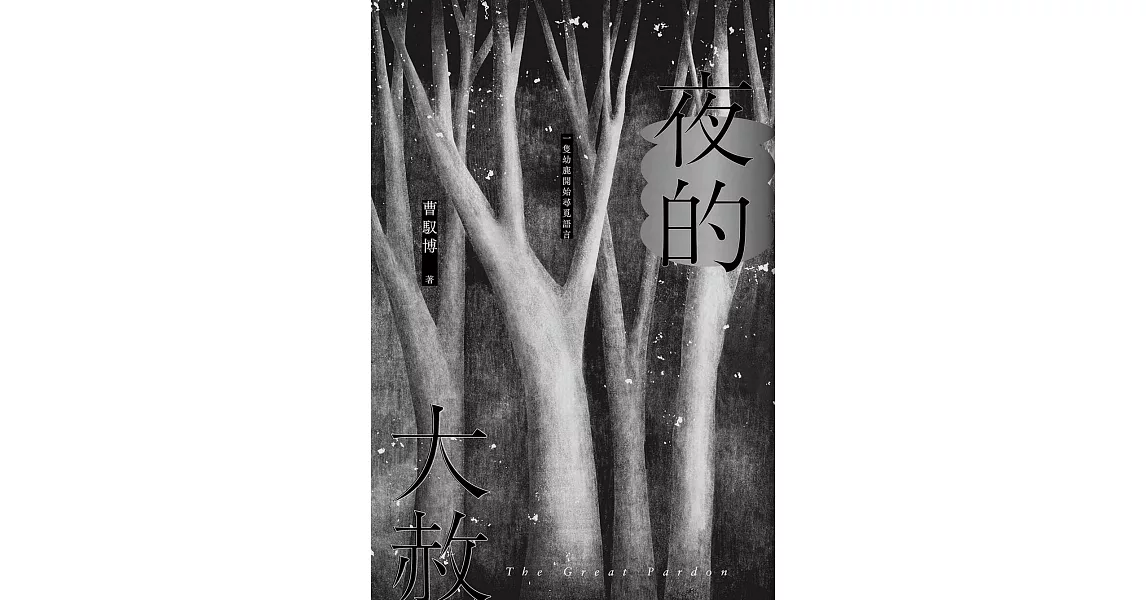 夜的大赦 (電子書) | 拾書所