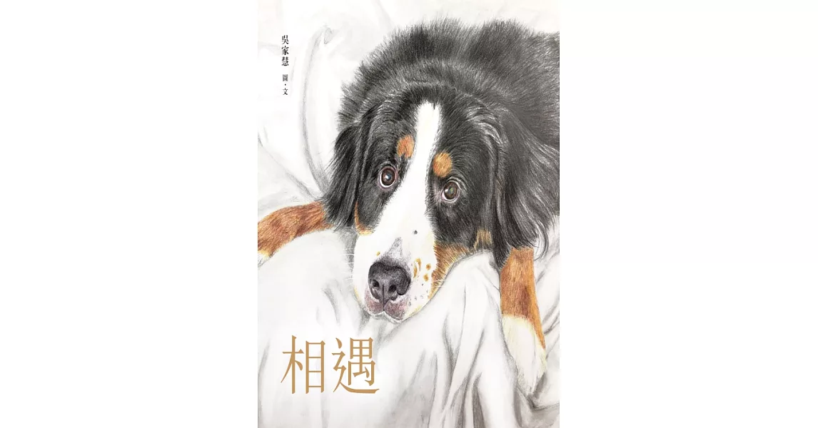相遇 (電子書) | 拾書所