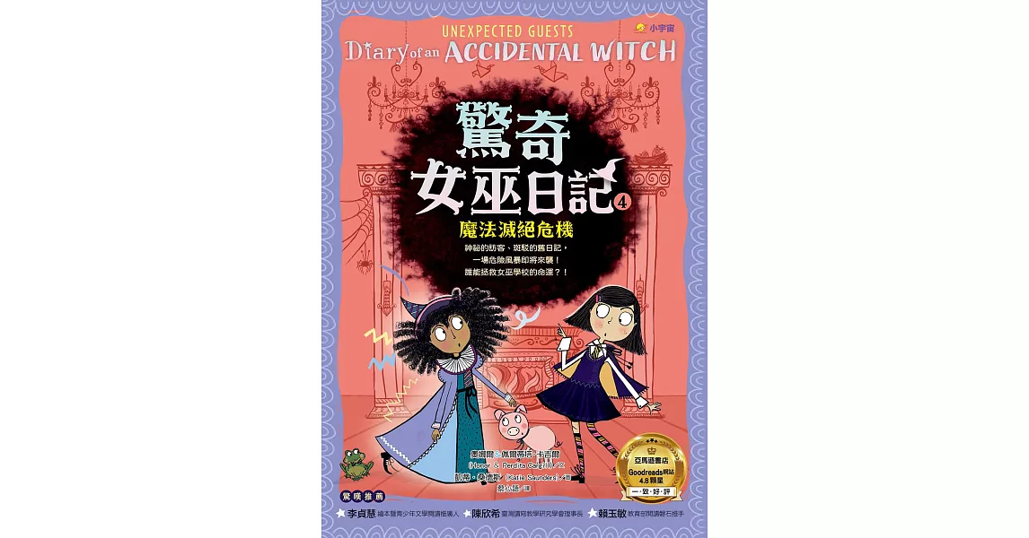 驚奇女巫日記4：魔法滅絕危機 (電子書) | 拾書所