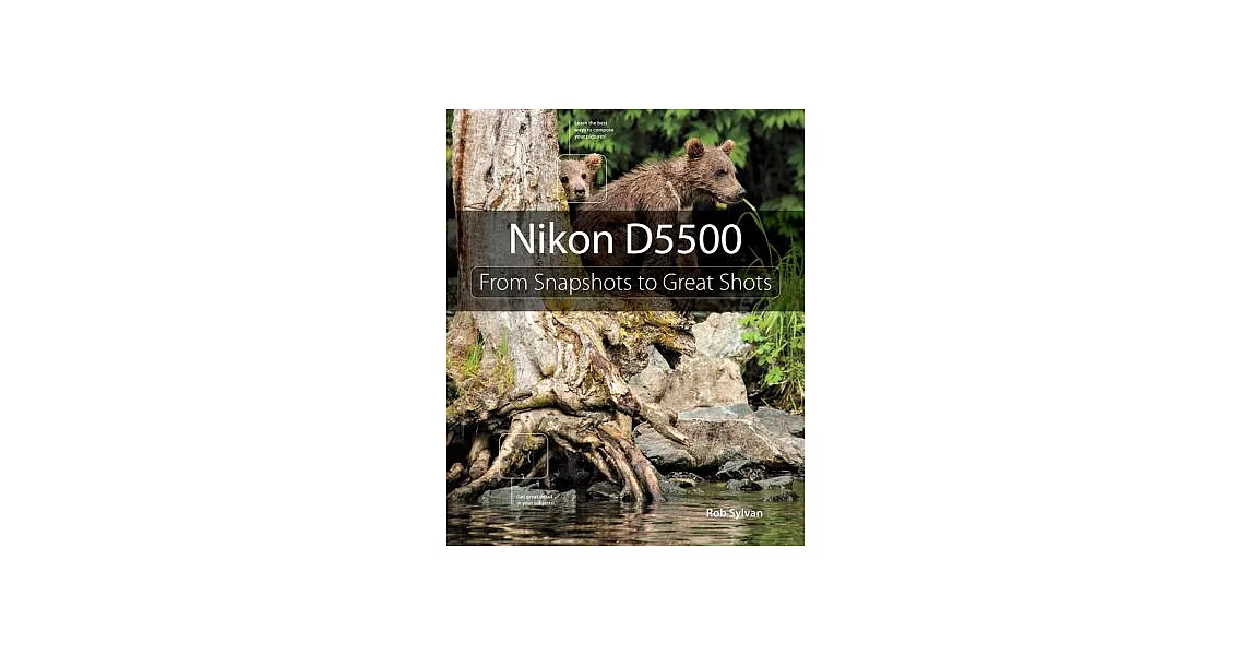 Nikon D5500: From Snapshots to Great Shots | 拾書所