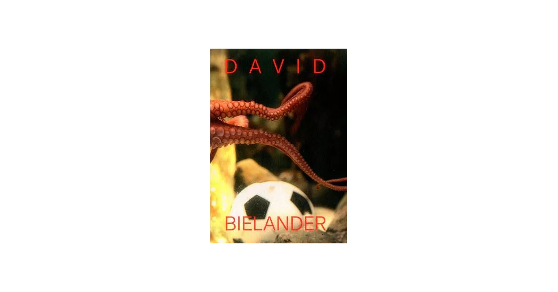 David Bielander: Twenty Years 2016-1996 | 拾書所