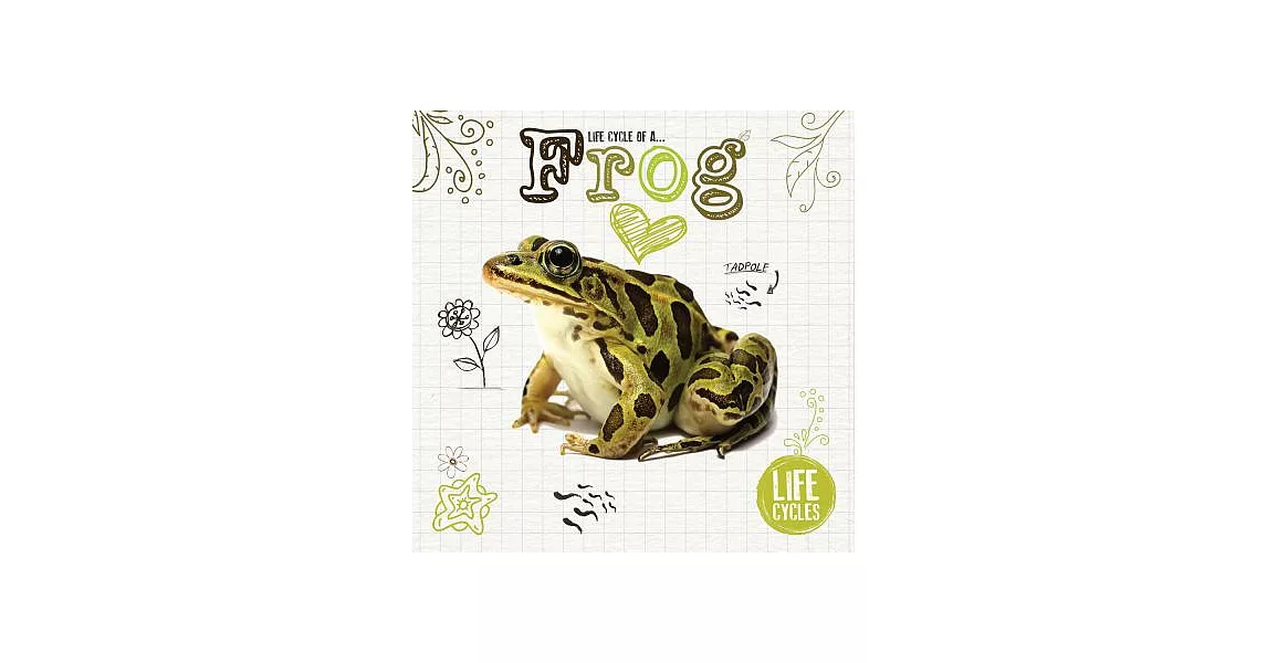 Frog | 拾書所