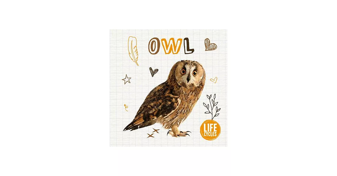 Owl | 拾書所