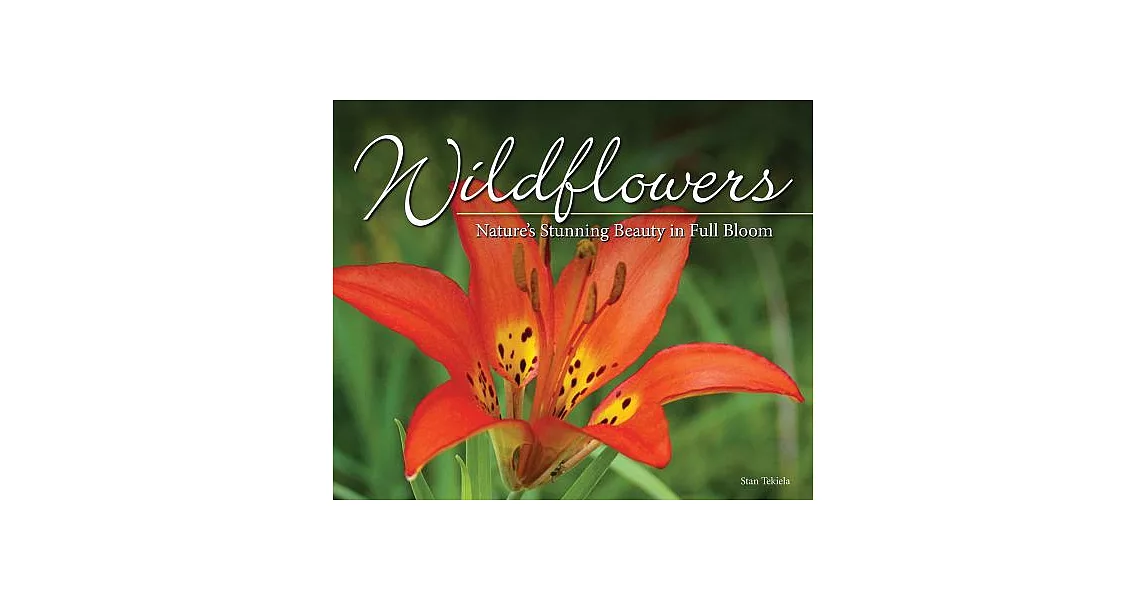 Wildflowers: Nature’s Stunning Beauty on Display | 拾書所