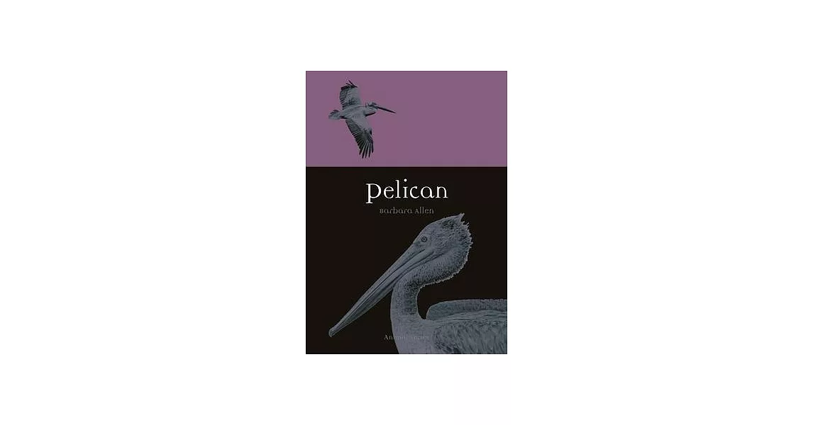 Pelican | 拾書所