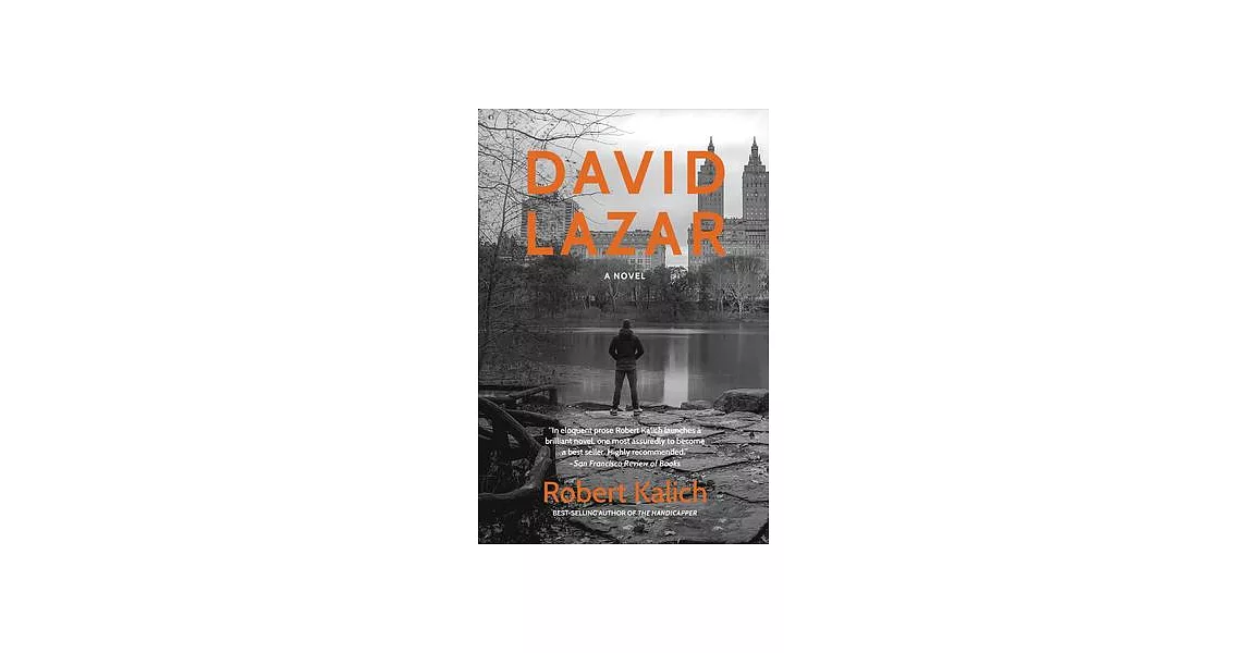 David Lazar: A Novel | 拾書所