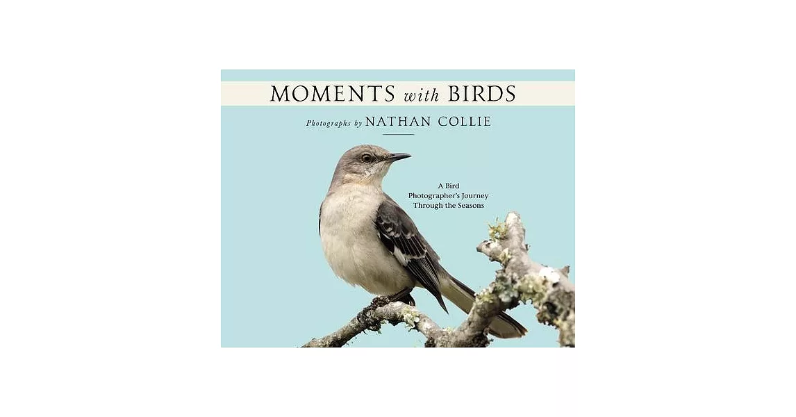 Moments with Birds: A Bird Photographer’s Journey Through the Seasons | 拾書所