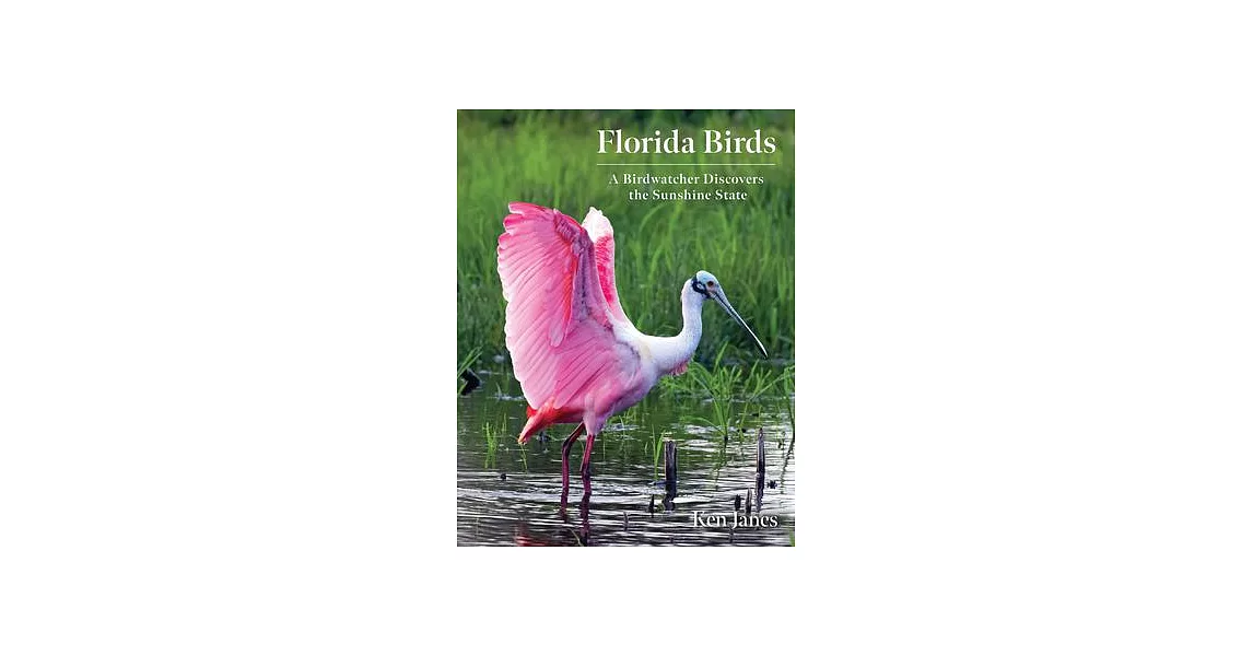 Florida Birds: Photos and Facts | 拾書所