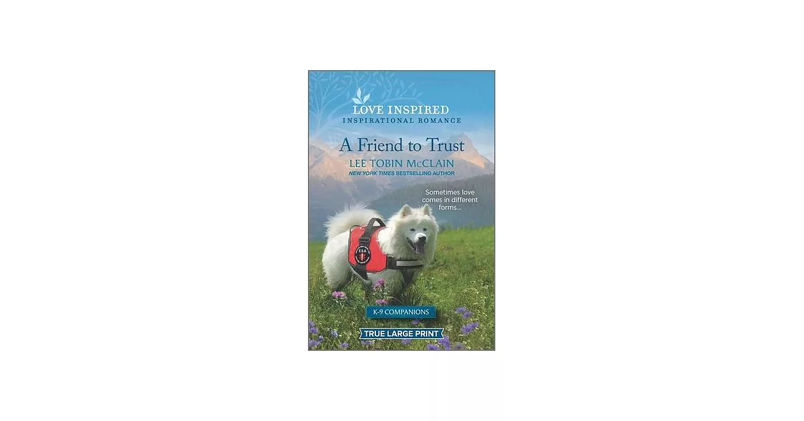 A Friend to Trust: An Uplifting Inspirational Romance | 拾書所