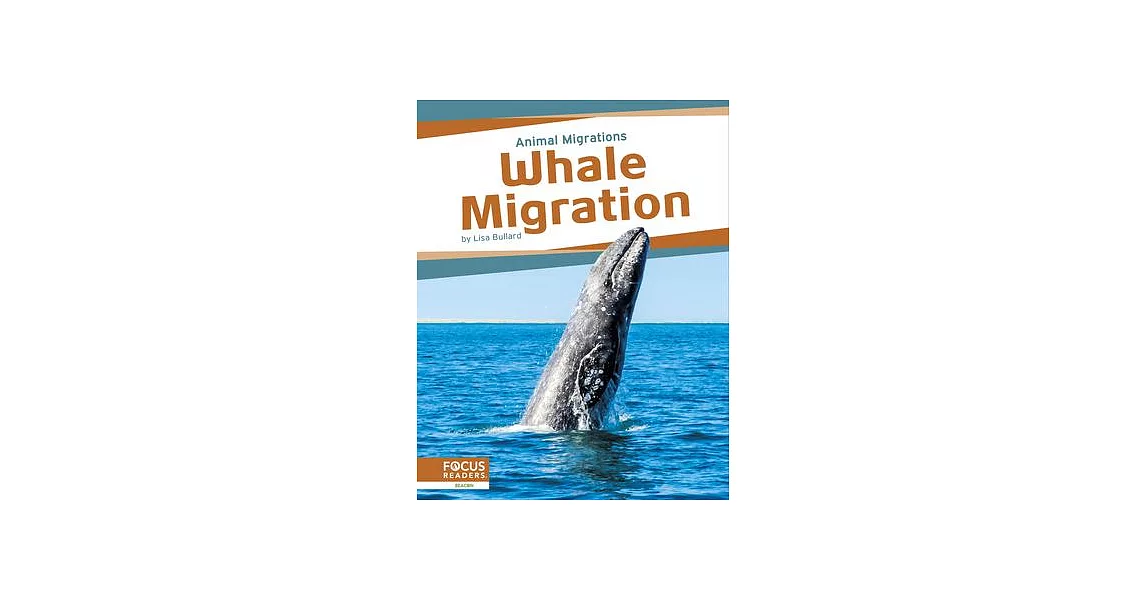 Whale Migration | 拾書所