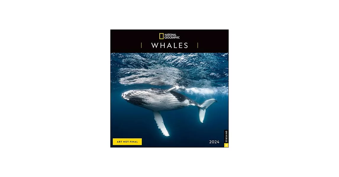 National Geographic: Whales 2024 Wall Calendar | 拾書所