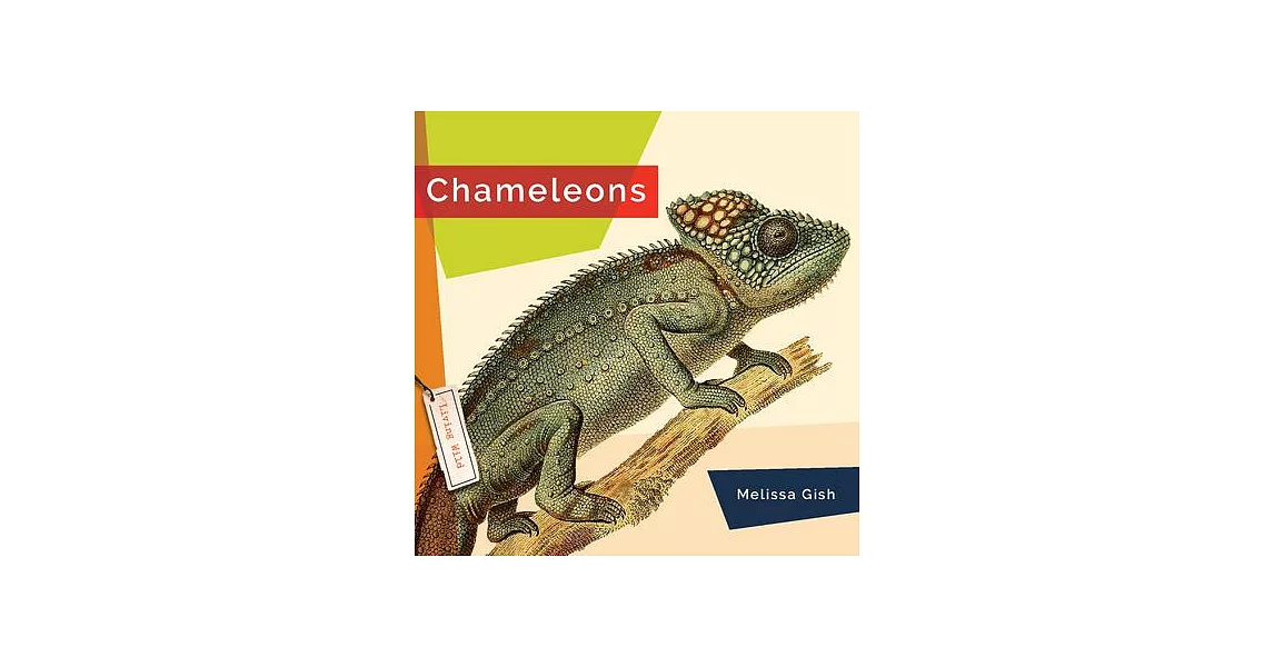 Chameleons | 拾書所