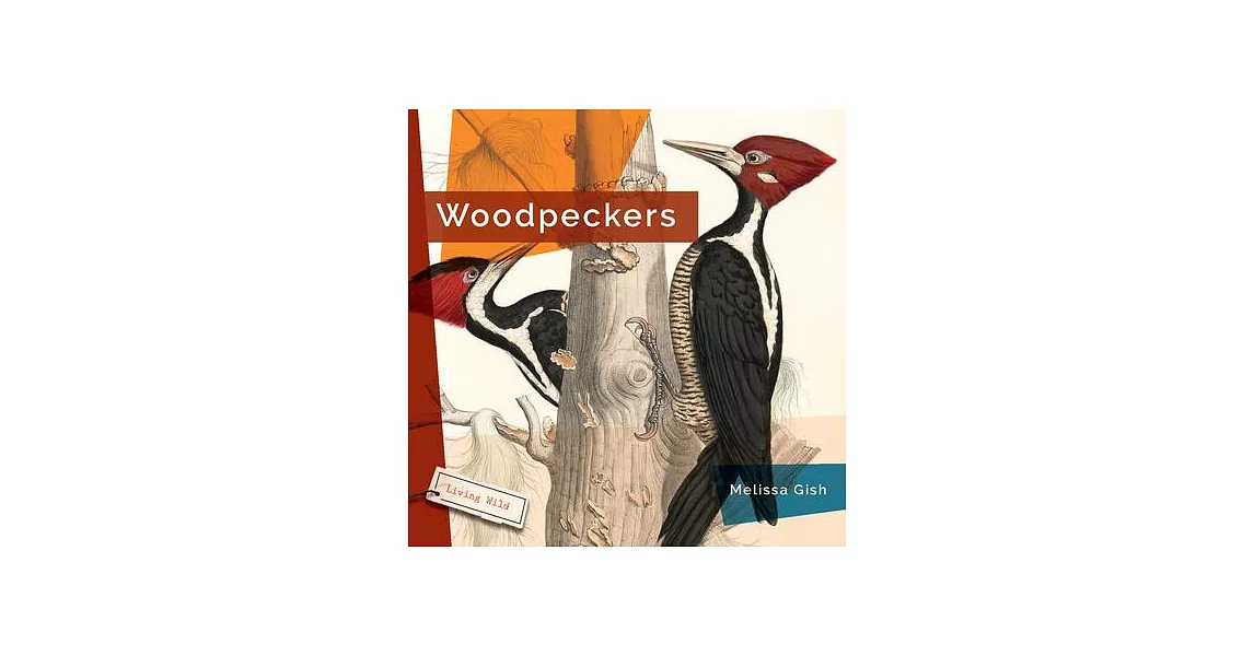 Woodpeckers | 拾書所