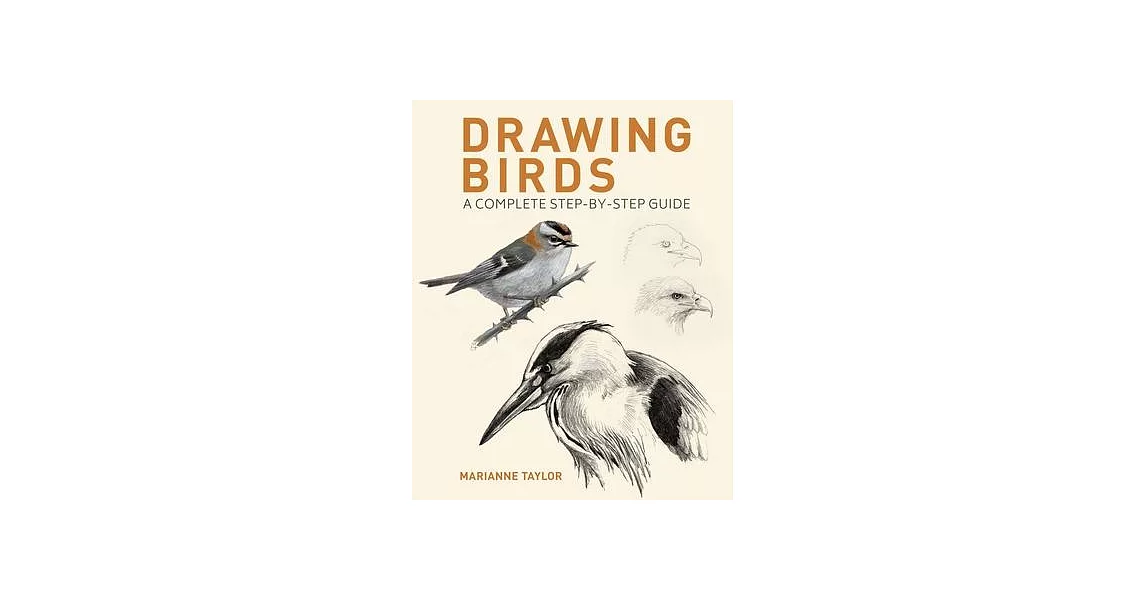 Drawing Birds: A Complete Step-By-Step Guide | 拾書所