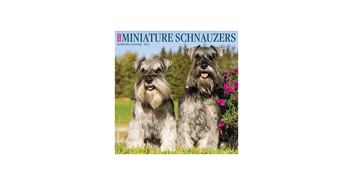 Just Miniature Schnauzers 2024 12 X 12 Wall Calendar | 拾書所