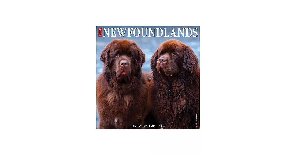 Just Newfoundlands 2024 12 X 12 Wall Calendar | 拾書所