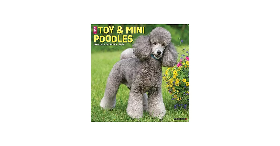 Just Toy & Miniature Poodles 2024 12 X 12 Wall Calendar | 拾書所