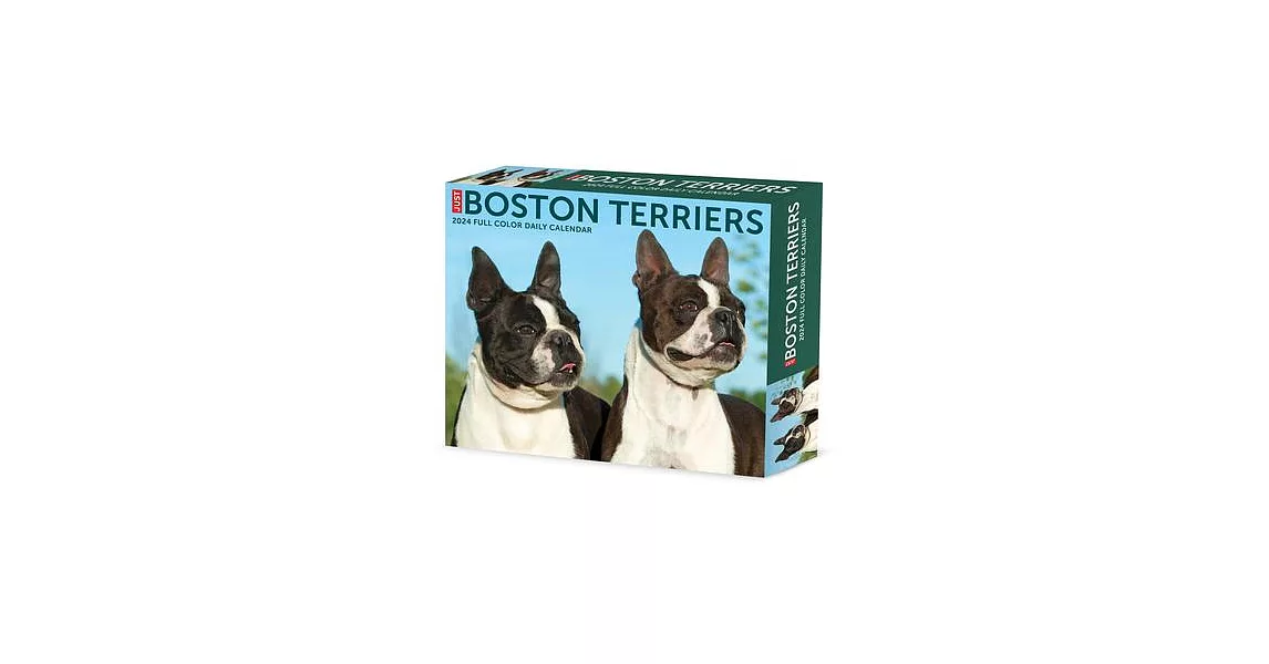 Boston Terriers 2024 6.2 X 5.4 Box Calendar | 拾書所