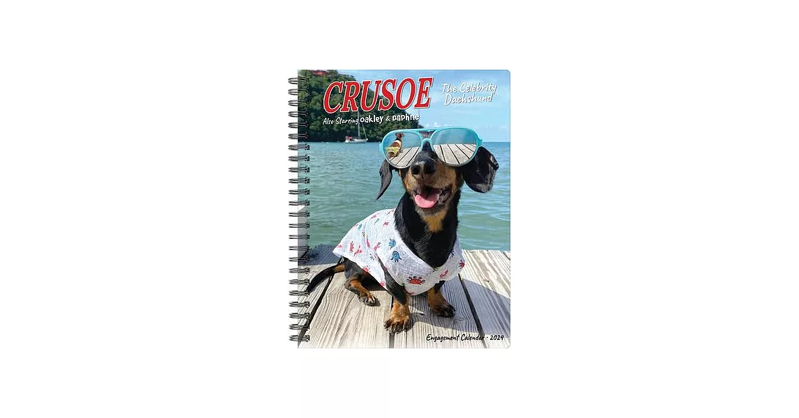 Crusoe the Celebrity Dachshund 2024 6.5 X 8.5 Engagement Calendar | 拾書所