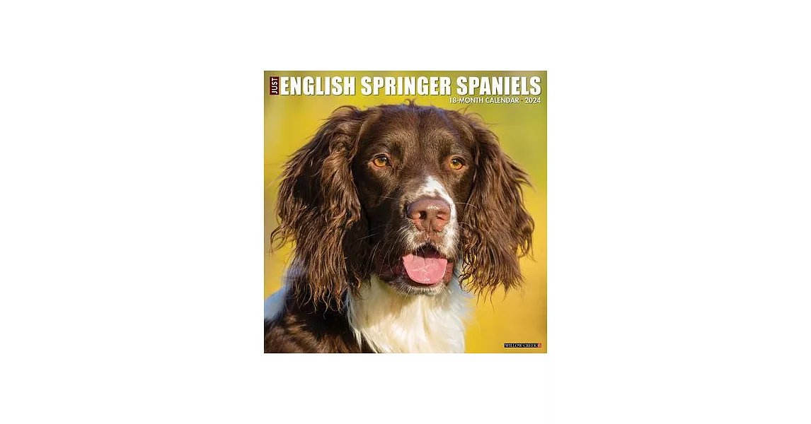 Just English Springer Spaniels 2024 12 X 12 Wall Calendar | 拾書所