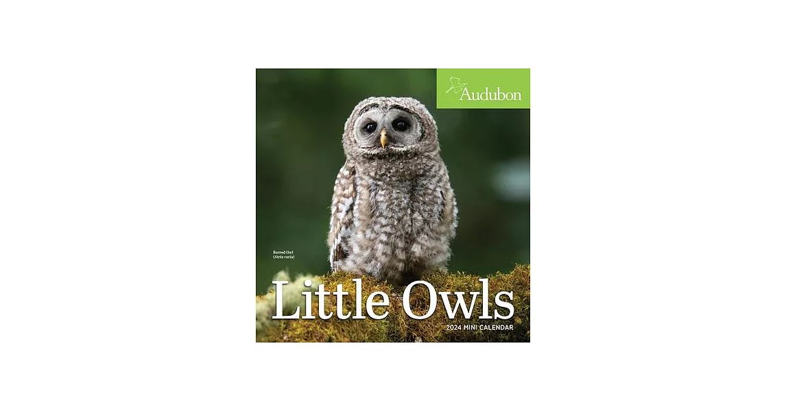 Audubon Little Owls Mini Wall Calendar 2024 | 拾書所