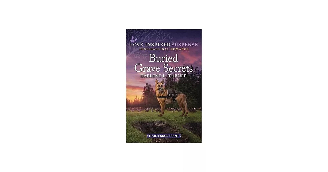 Buried Grave Secrets | 拾書所